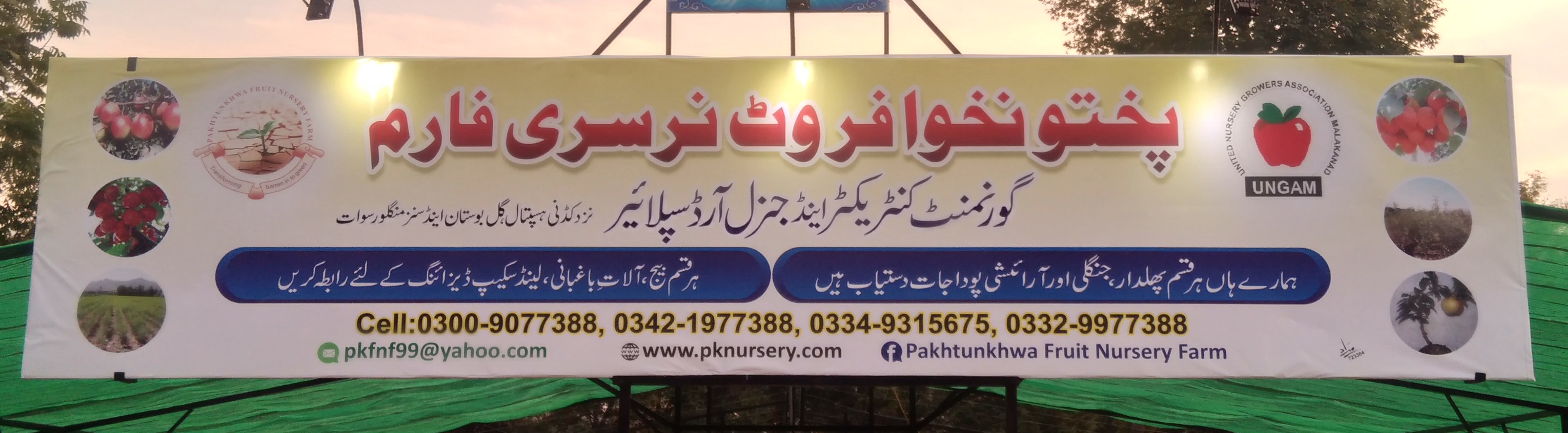 About Pakhtunkhwa Fruit Nursery Farm