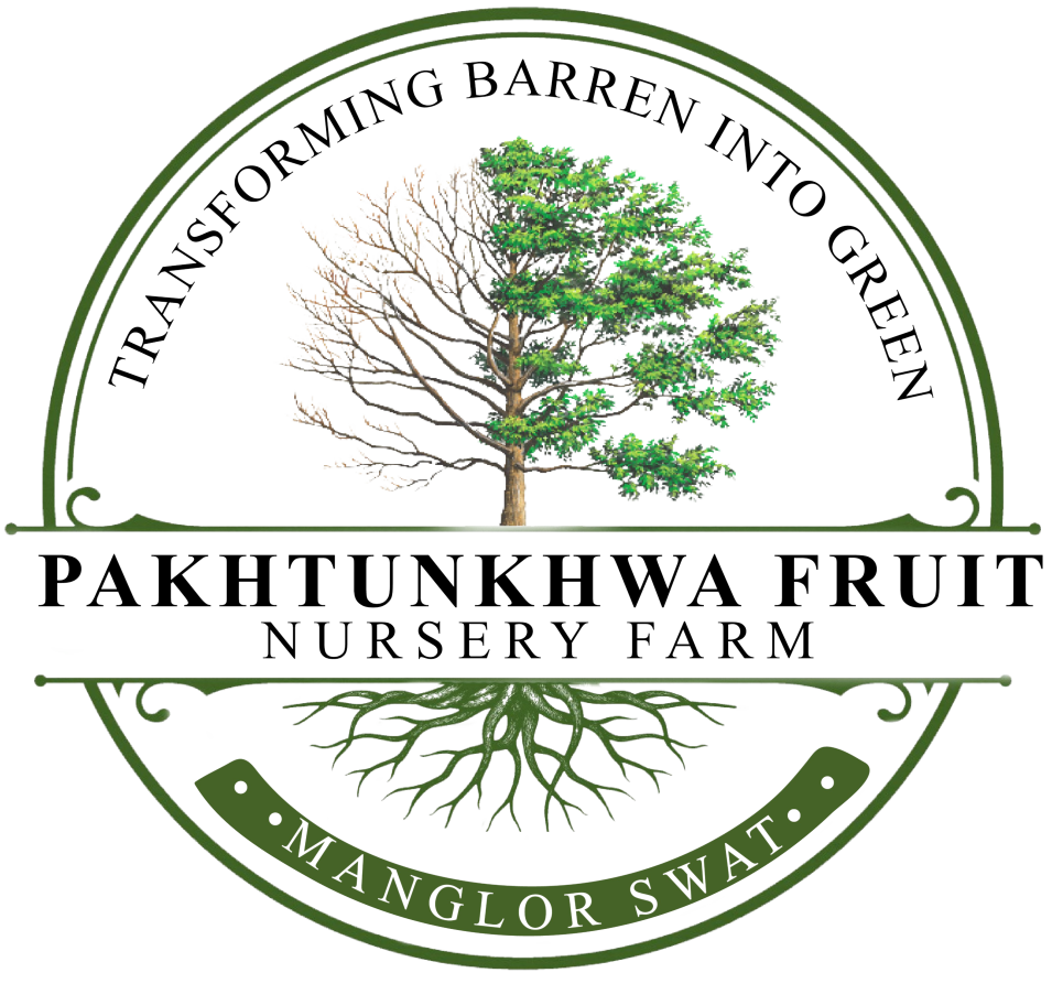 Pakhtunkhwa Fruit Nursery Farm